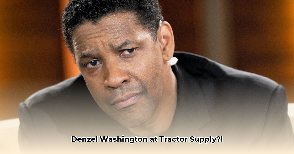 denzel-washington-tractor-supply